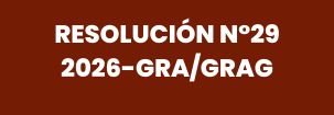 RESOLUCIÓN N°29-2026-GRA/GRAG