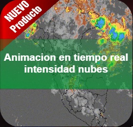 ANIMACION TIEMPO REAL