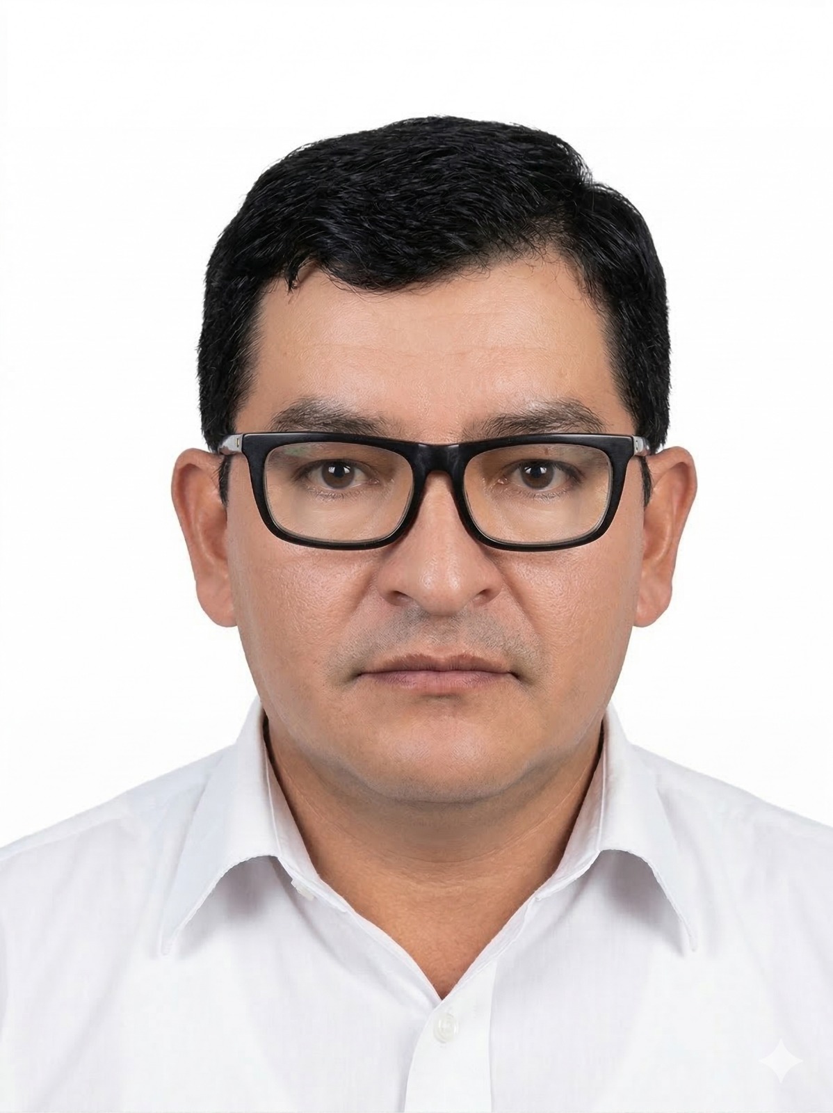 ingHubert image